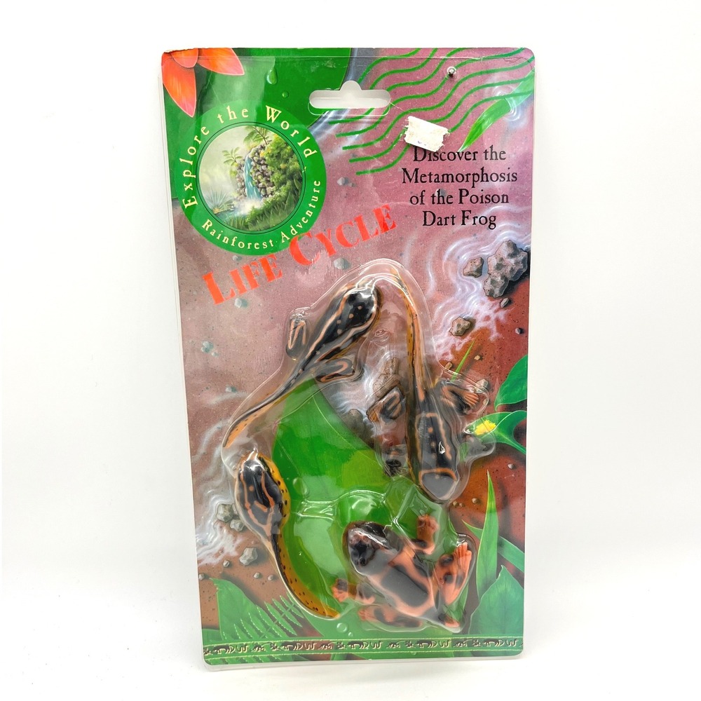 K&M International Poison Dart Frog Life Cycle Metamorphosis Toy Set 1996 Vintage